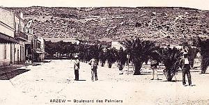 918- Arzew - Bd des Palmiers2